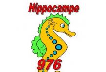 Six matinées de formation pour les bénévoles associatifs