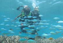 A l’eau ! 6e édition de l’opération «Premières bulles au pays du corail»