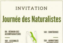 La rentrée des Naturalistes le 10 septembre à Mtsangabeach, avec un voulé pour découvrir l’association
