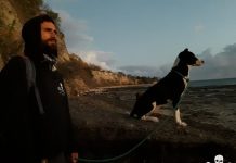 «Opération Nyamba»: l’ONG Sea Shepherd a mené 72 patrouilles contre le braconnage de tortues