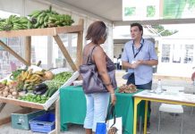 Lancement de 3 appels à projets concernant les Groupements d’Intérêt Économique et Environnemental