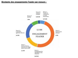 Montants des engagements FEADER par mesure