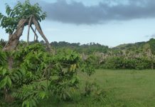 Réunions d'information pour les agriculteurs de Kahani-Combani