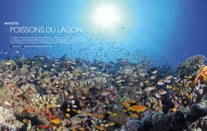 Les poissons du lagon sur le magazine Escale