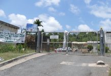 « Monsieur le préfet, pourquoi ne pas nous permettre de travailler ? »