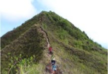 4ème édition du « Trail des Amis 2019 »: venez retirer vos dossards