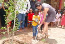 Comme un arbre dans l’école