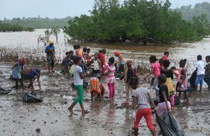 Nettoyage mangrove Bandraboua