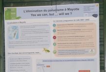 Paludisme : premières décisions pour une lutte régionale