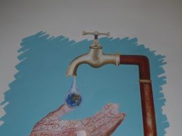 Le Collectif des citoyens demande des comptes au Syndicat des Eaux SMEAM, Mayotte, Chambre régionale des Comptes