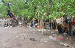 Des lambeaux de plastique et de tissus maculent la mangrove 