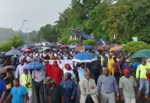 Une forêt de parapluies contre l'insécurité