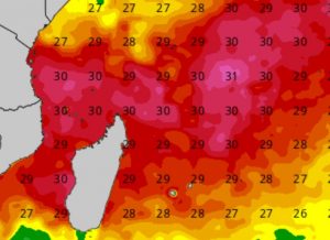 Les températures de surface de la mer sont de 30° actuellement dans notre zone (Site Mtotec)