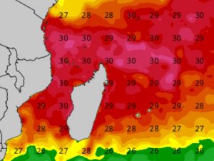 Températures de la surface de la mer les plus élevées dans la région