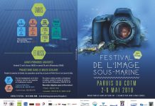 Le festival de l'image sous-marine, c'est dans une semaine