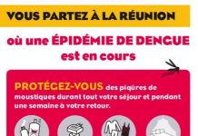 Deux cas de dengue à Mayotte, importés de La Réunion