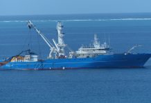 Pas de surpêche dans la zone selon les Affaires maritimes