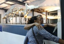 Une nuit de culture, partage et rigolades