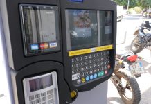 Bientôt des prunes à Mamoudzou