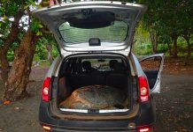 Des braconniers envoyés à Majicavo