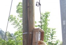 EDM sur la ligne progressive d’un retour à la normale EDM, Mayotte