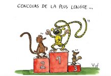 En BD : L"Odyssée Mahoraise" fait connaître Mayotte à Bruxelles