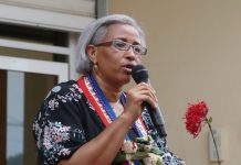 Coronavirus : Parlementaires et élus locaux en appellent à l’armée