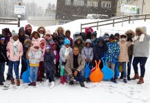 Des hippocampes sous la neige