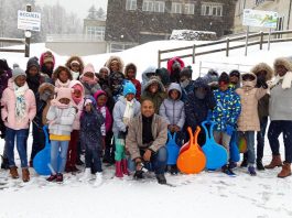 Des hippocampes sous la neige
