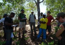 Littoral : la balade des gens inquiets