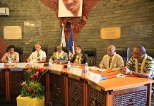 Cultiver "moderne" sans toucher au jardin mahorais