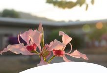 Penser sur le rire au CUFR