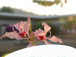 Penser sur le rire au CUFR