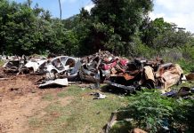 Chirongui en guerre contre les carcasses