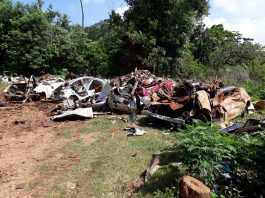 Chirongui en guerre contre les carcasses