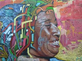 Home Run Kitten Favored in Competitive San Simeon