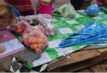 Gare aux tomates vendues au bord de la route