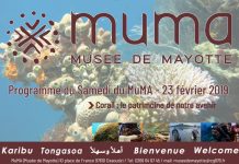 Le prochain samedi du MuMa sur la préservation du corail