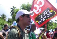 Chants stridents de cigales au pied du vice-rectorat