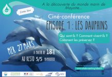 Les dauphins inaugurent le cycle de ciné-conférence sur le monde marin