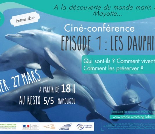 Les dauphins inaugurent le cycle de ciné-conférence sur le monde marin