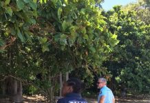 Kani Kéli : de l’éclairage public à la vidéo protection