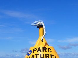 Deux pêcheurs au fusil dans les filets de la justice Parc Naturel Marin, Mayotte