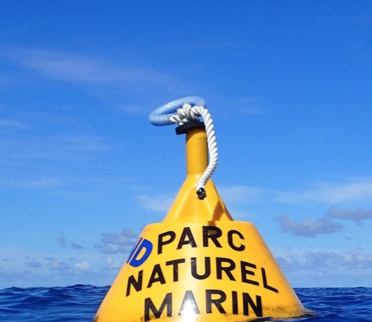 Deux pêcheurs au fusil dans les filets de la justice Parc Naturel Marin, Mayotte