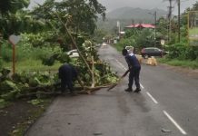 Kenneth, ou l’appropriation de la culture du risque