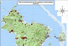 Fièvre de la vallée du Rift : toujours de nouveaux cas