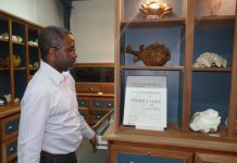 Le Centre universitaire et le MuMa partenaires pour enrichir nos connaissances Muma, CUFR, Mayotte