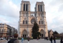 Notre-Dame de Paris, une flèche en plein cœur