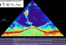 Alpha Blondy, nouveau volcan et cyclone Kenneth, vos articles préférés de 2019