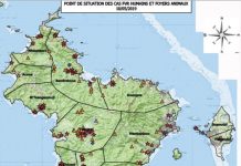 Fièvre de la Vallée du Rift à Mayotte : stabilité du nombre de nouveaux cas